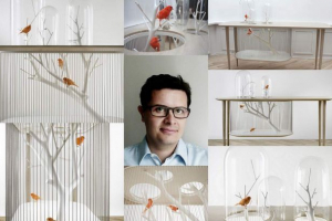 Клітина пташиного архівіди: комбінація комфорту та краси Клітина пташиного архівіди: комбінація комфорту та краси